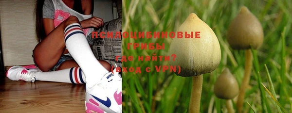 прущие крисы Богданович