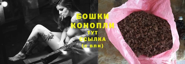 шишки Богородицк