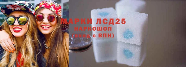 шишки Богородицк