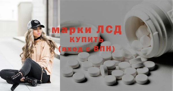 шишки Богородицк