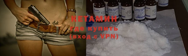 шишки Богородицк