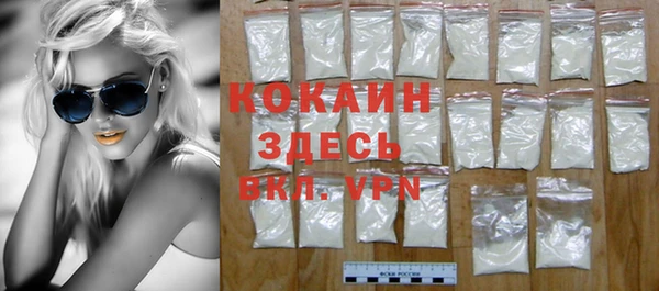 шишки Богородицк