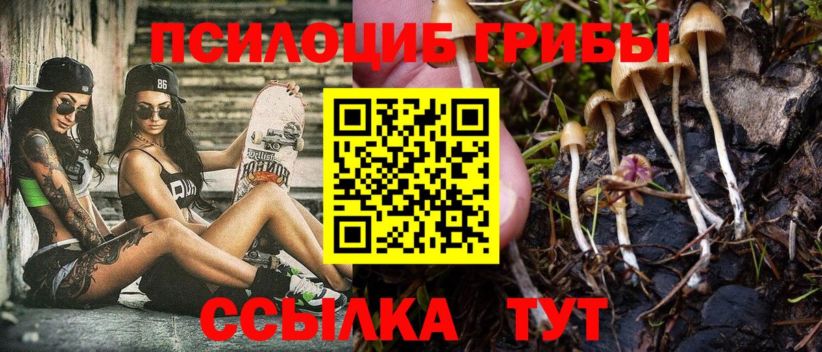 Наро-Фоминск  Псилоцибиновые грибы MAGIC MUSHROOMS  Вход с VPN 